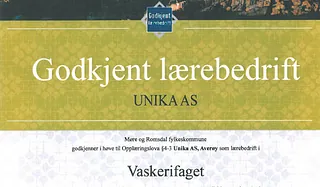 Godkjent lærebedrift, vaskerifaget